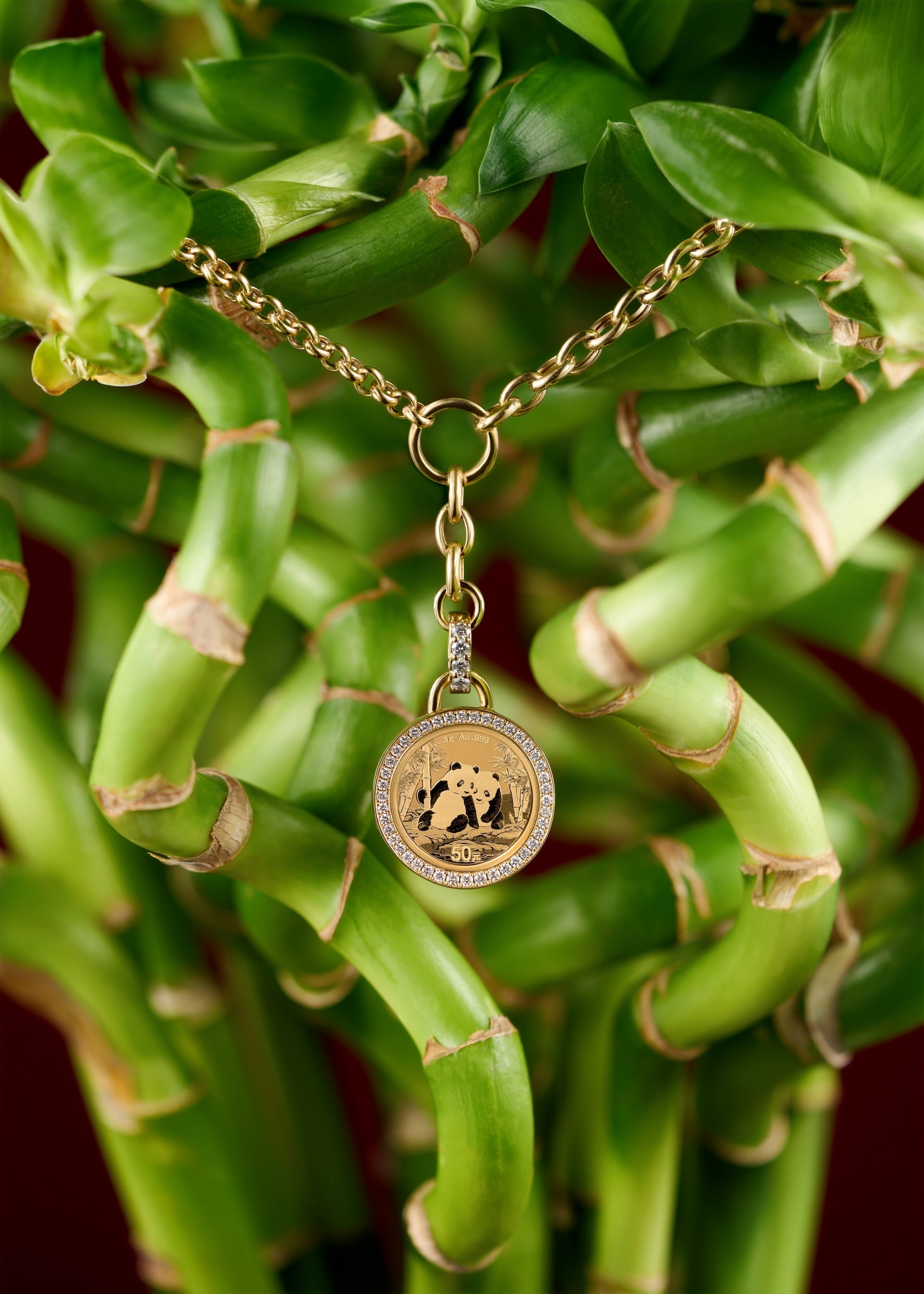 Chinese Gold Panda Series